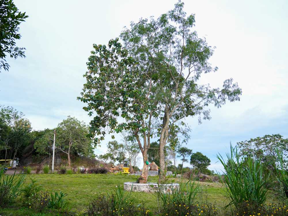 Top Resorts in Sirumalai