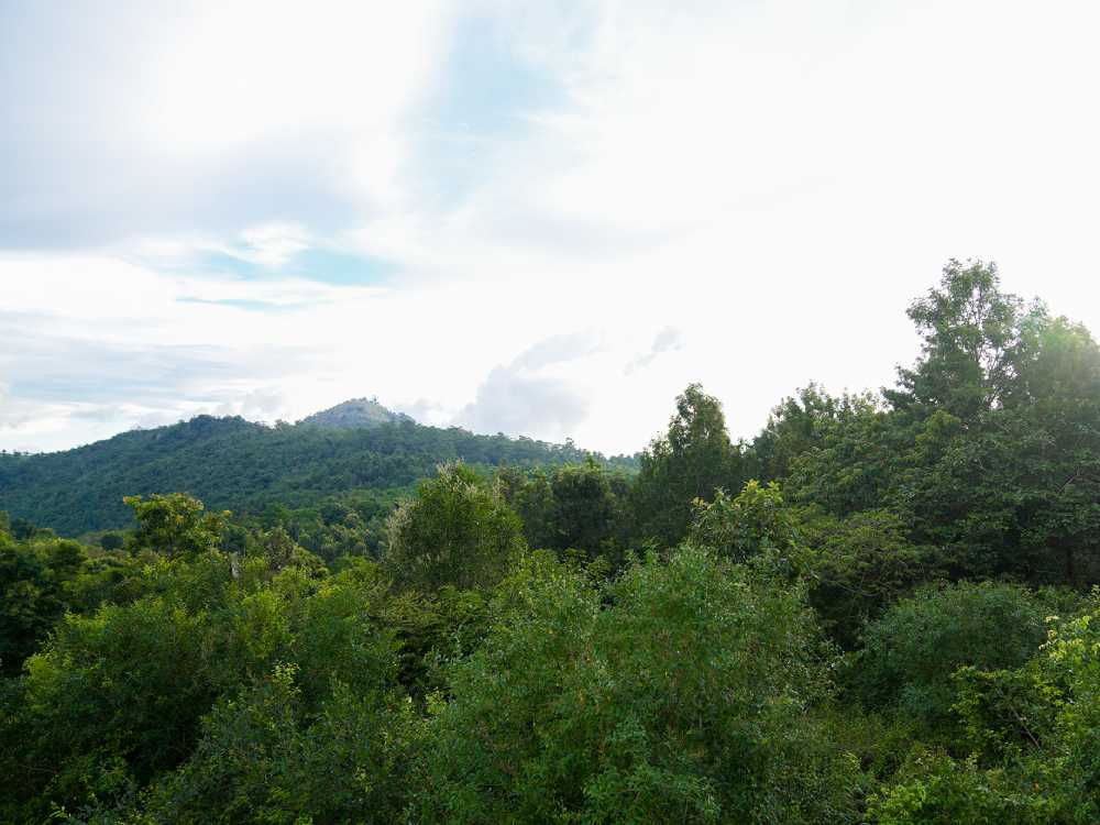 Best Resorts in Sirumalai